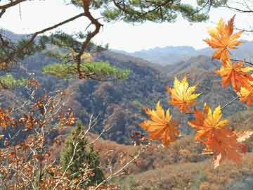 汉川停电最新信息大揭秘，全城停电动态一网打尽！