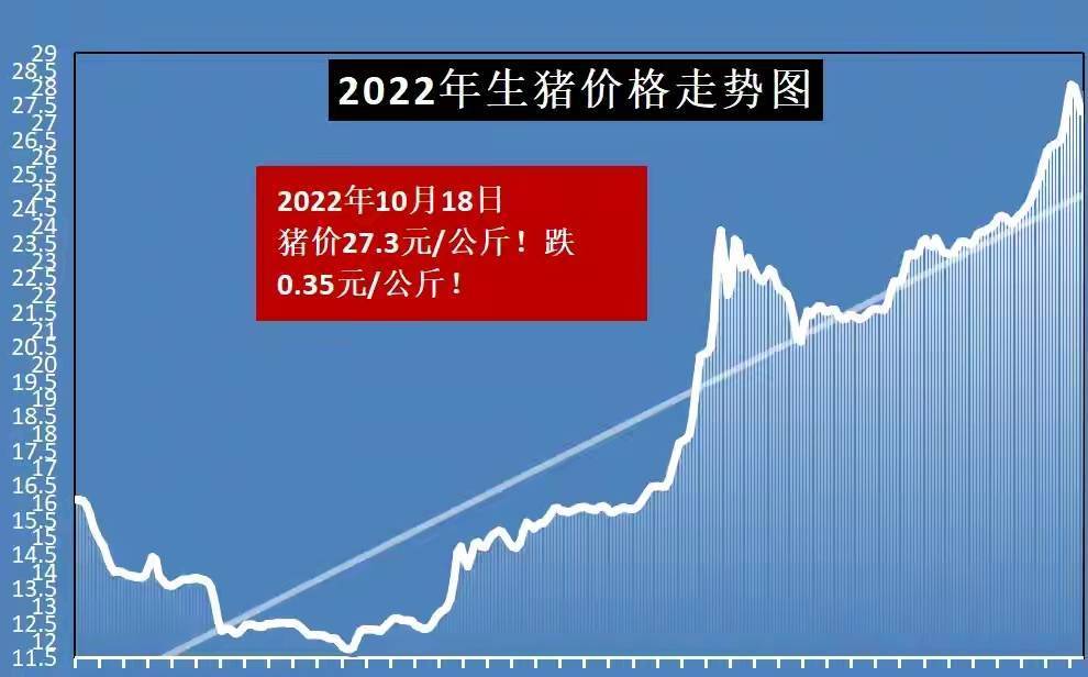 猪价走势最新消息，市场趋势分析与预测