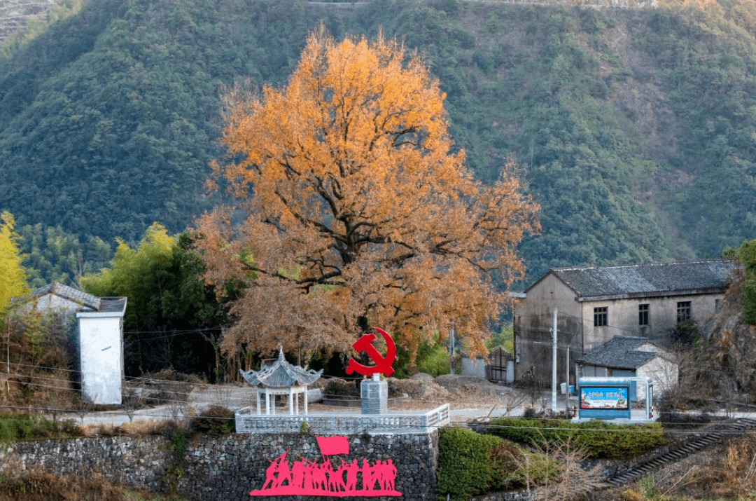 肇源李延国，自然美景探索之旅，追寻内心平和与喜悦的最新旅程