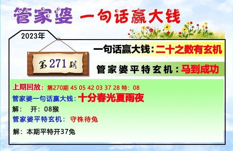 77777888管家婆四肖四码,调整细节执行方案_10DM112.115-4