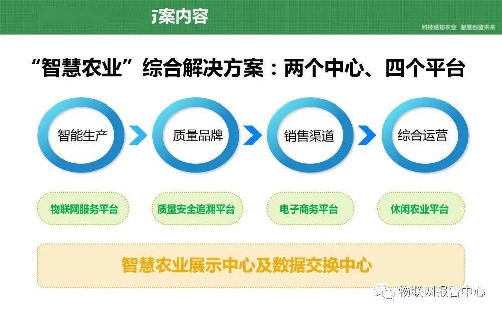 2024年新奥门资料大全最新版本,快速解答计划设计_挑战款52.391-1