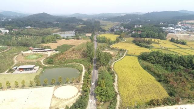 南山二小开建最新消息,南山二小开建最新消息，一场自然美景的探索之旅，内心的平静之旅