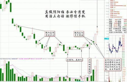 股票入门详解，一步步解析股票背后的奥秘