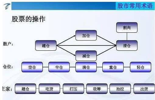 002230股票投资全攻略，从入门到进阶的实战指南