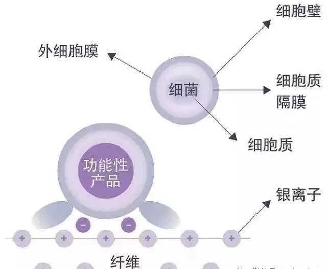 气流纺技术革新与产业应用洞察，最新趋势解析