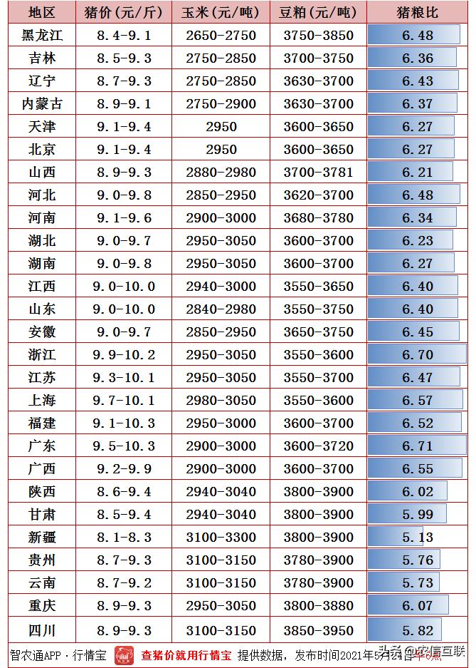 云南最新猪价与心灵宁静探寻之旅