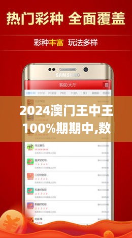 2024澳门王中王100%期期中,释意性描述解_经典版91.941