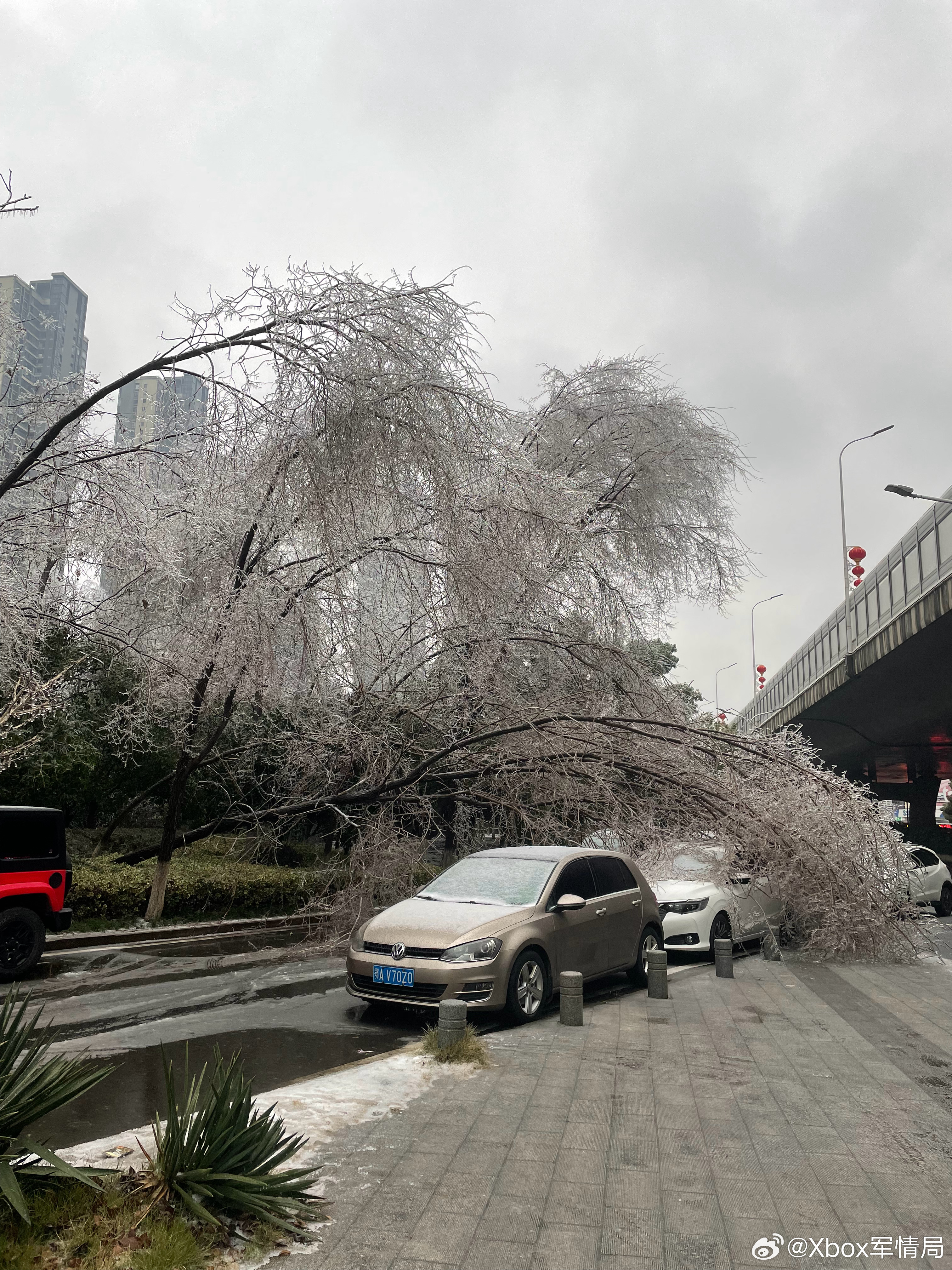 武汉冰暴震撼来袭，超现实记录下的最新冰暴现场🌨️