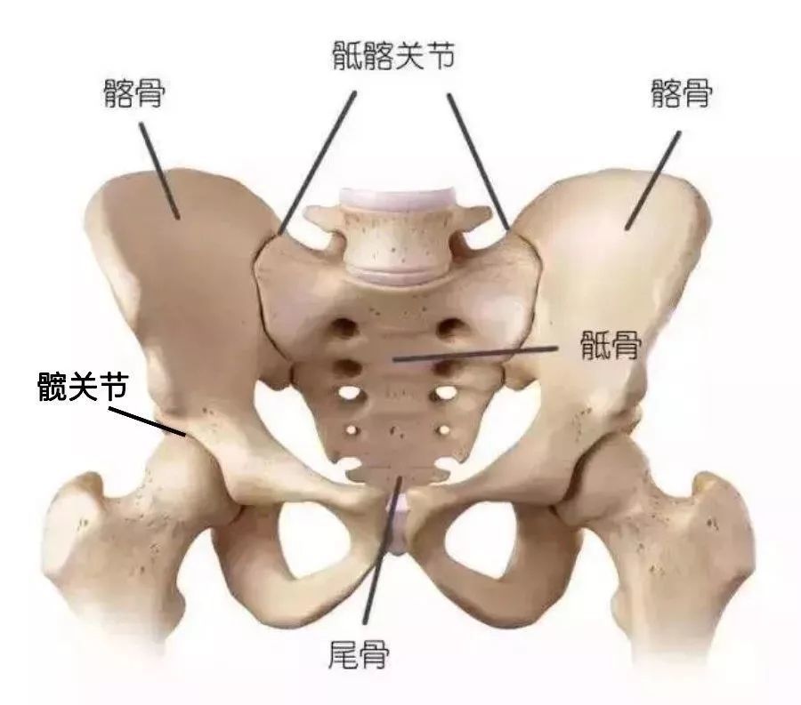 科技重塑生活，耻骨高最新智能革新体验报告