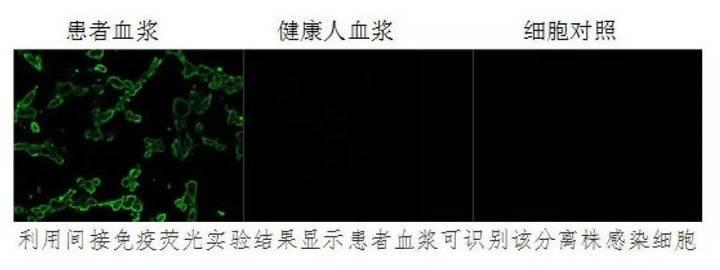 城市绿化 第131页