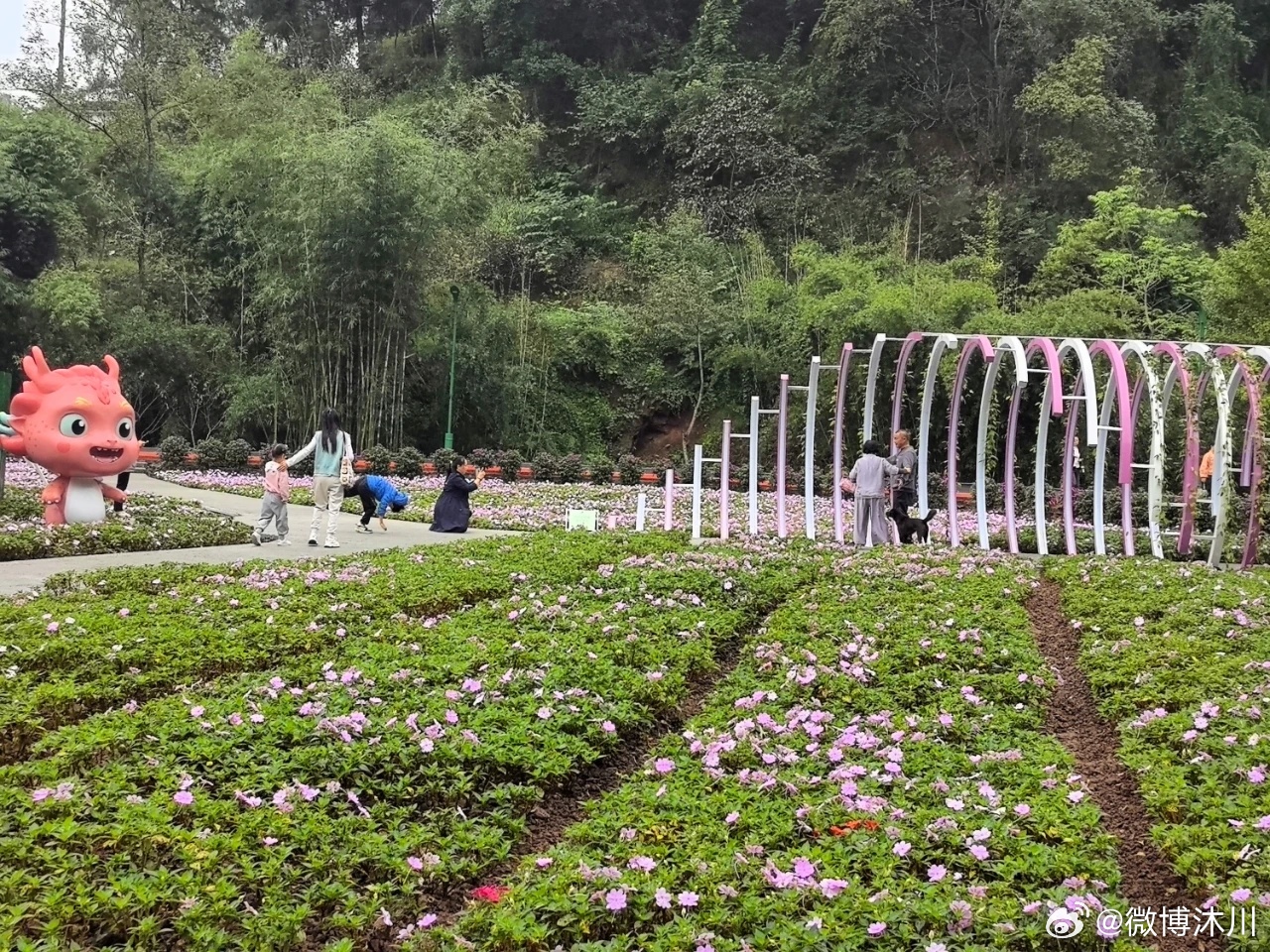 桃源山村新生活，科技之光点亮山村最新篇章