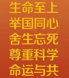 全球抗击疫情最新进展与关键信息汇总，疫情最新情况发布汇总报告