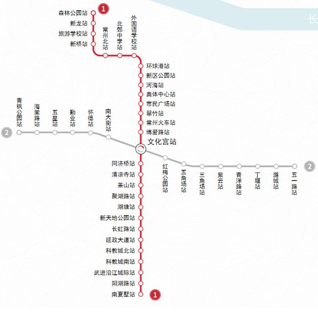 龙血树的价格，历史地位、时代影响及市场动态分析